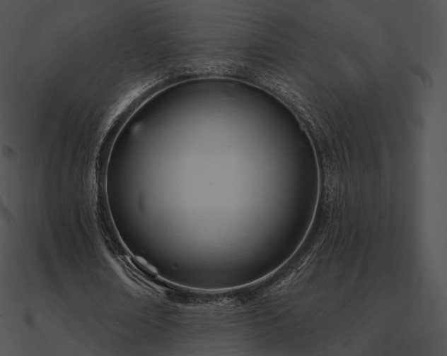 X0000090970674200708021438