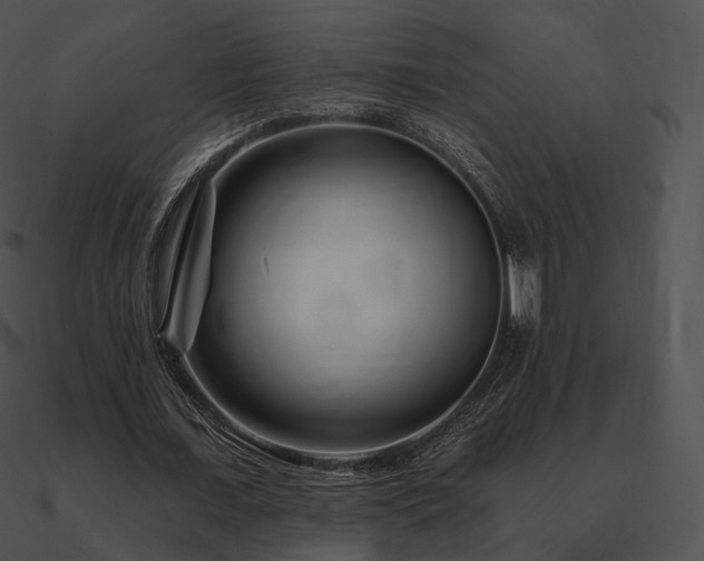 X0000090970675200708021438