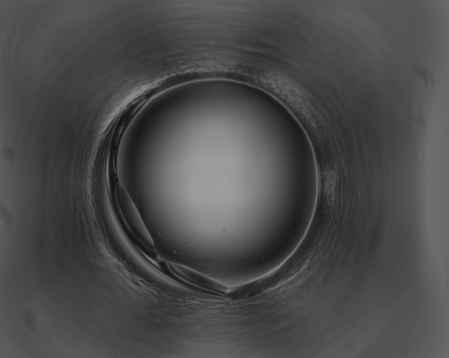 X0000090970676200708021438