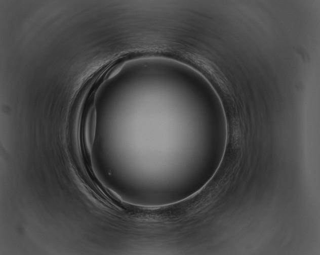 X0000090970677200708021438