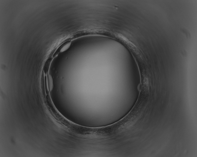 X0000090970678200708021438