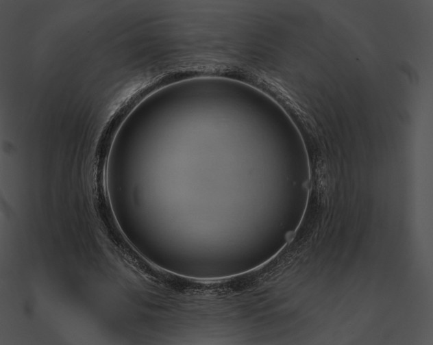 X0000090970679200708021438