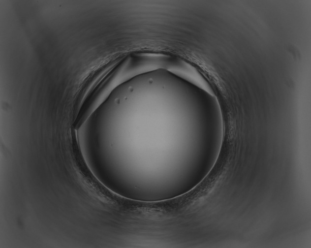 X0000090970681200708021438