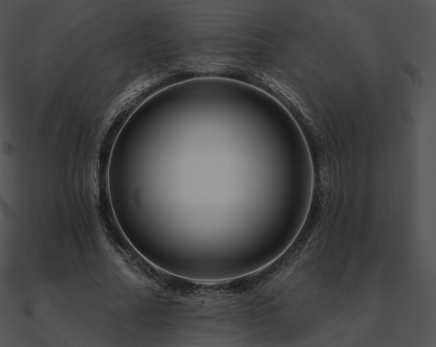 X0000090970682200708021438