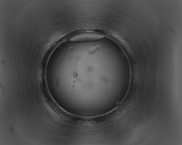 X0000090970683200708021438