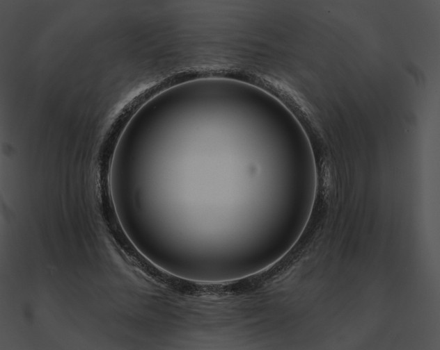 X0000090970684200708021438