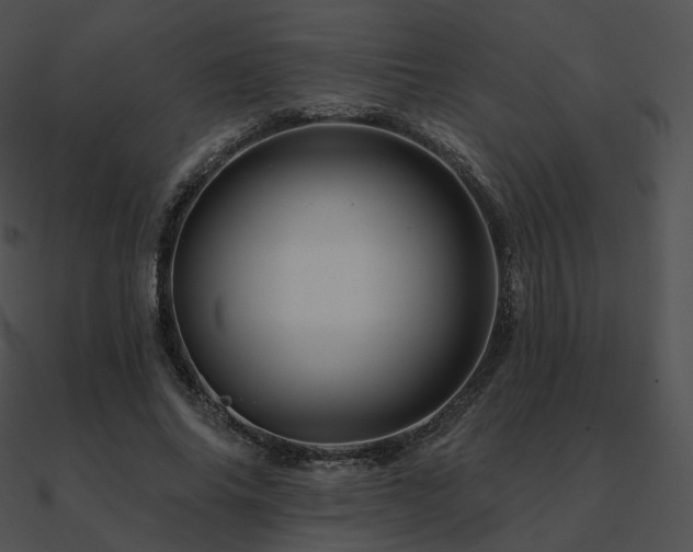 X0000090970686200708021438