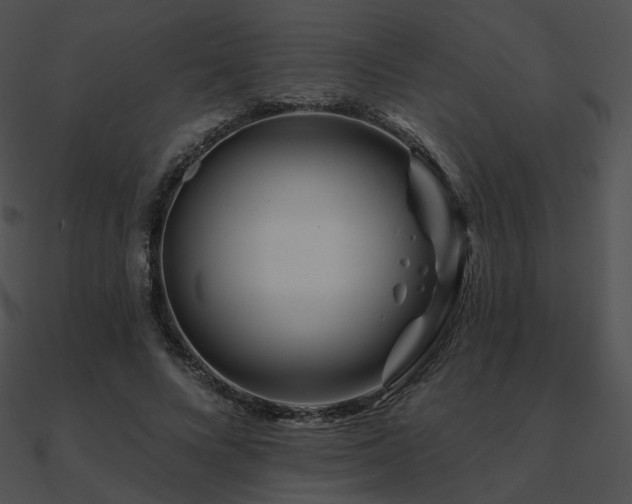 X0000090970688200708021438