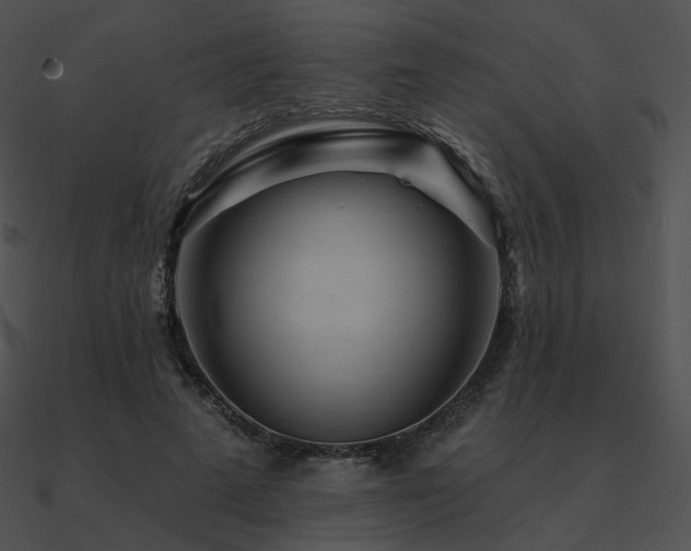 X0000090970689200708021438