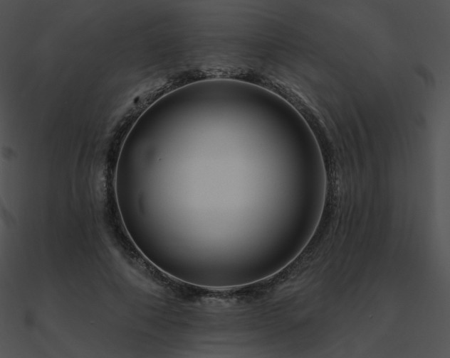 X0000090970690200708021438