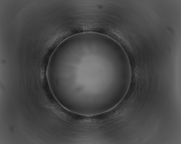 X0000090970691200708021438