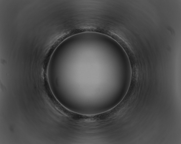 X0000090970692200708021438