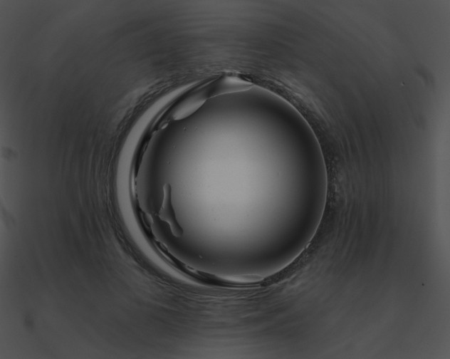 X0000090970693200708021438