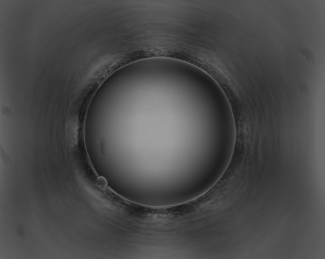 X0000090970694200708021438