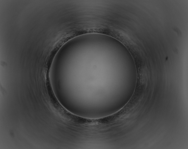 X0000090970695200708021438