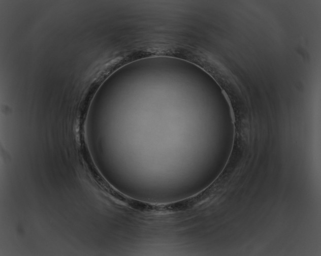 X0000090970696200708021438