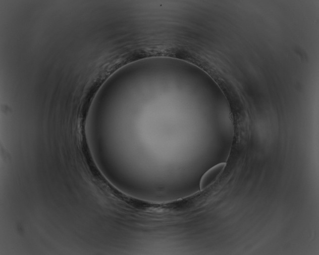 X0000090970699200708021438