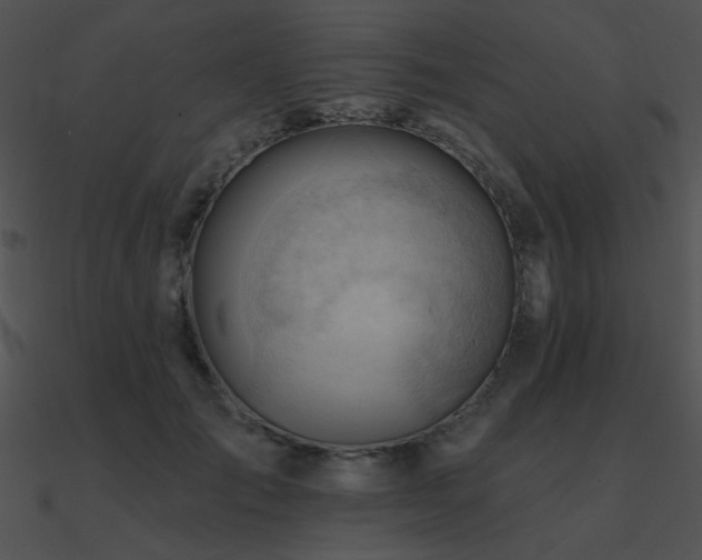 X0000090970701200708021438