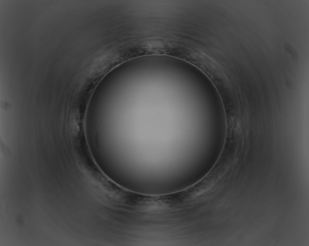 X0000090970702200708021438