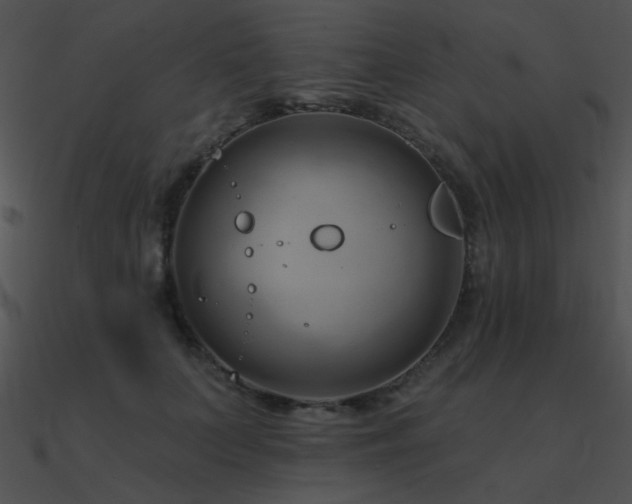 X0000090970703200708021438