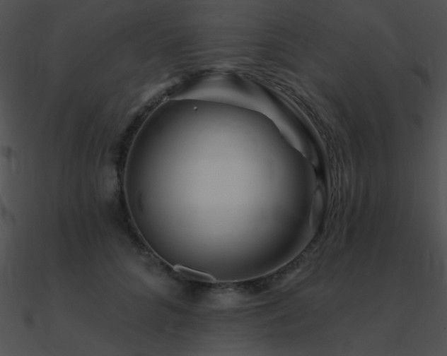 X0000090970704200708021438