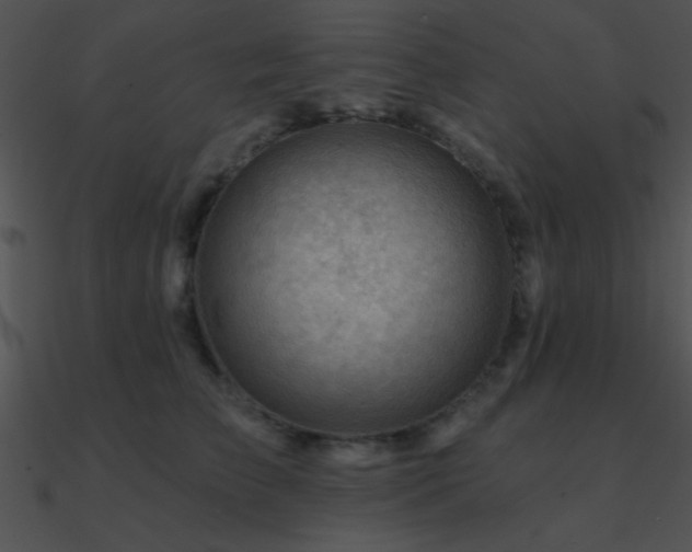 X0000090970709200708021437