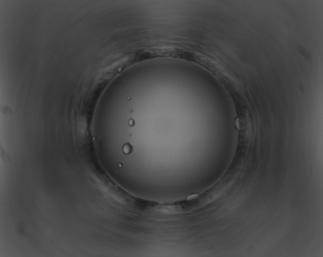 X0000090970711200708021437