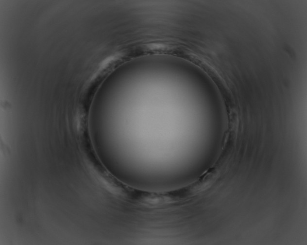 X0000090970712200708021437