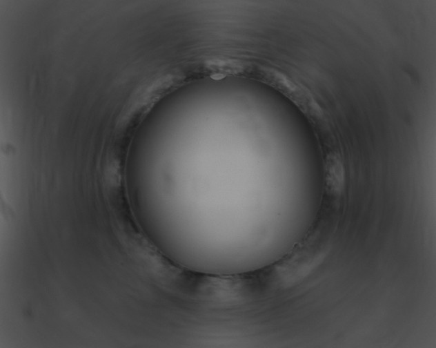 X0000090970713200708021437