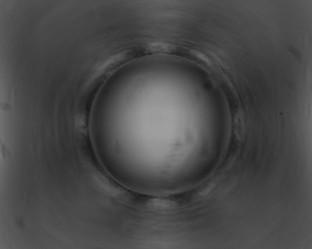 X0000090970714200708021437