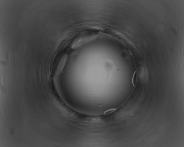 X0000090970715200708021437