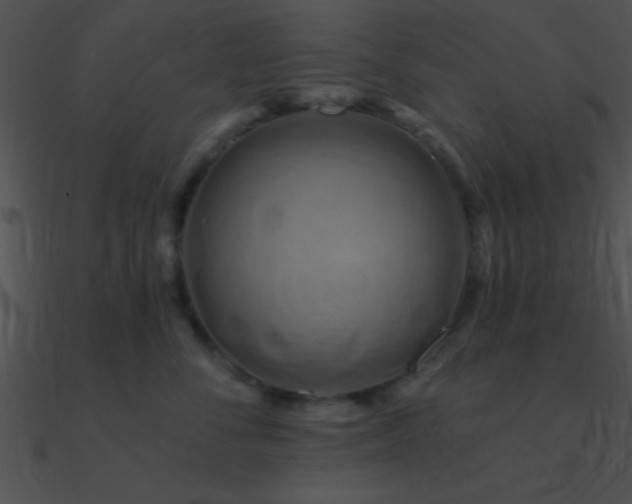 X0000090970716200708021437