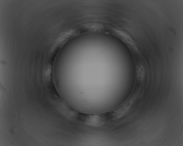 X0000090970717200708021437