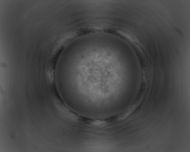 X0000090970718200708021437