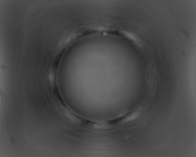 X0000090970720200708021437