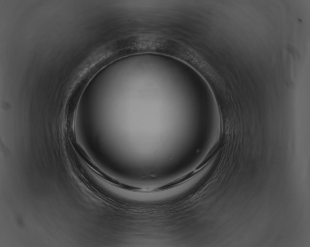 X0000090970722200708021437