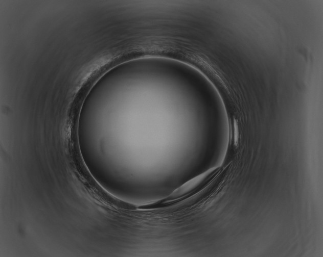 X0000090970723200708021437