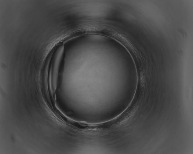 X0000090970725200708021437