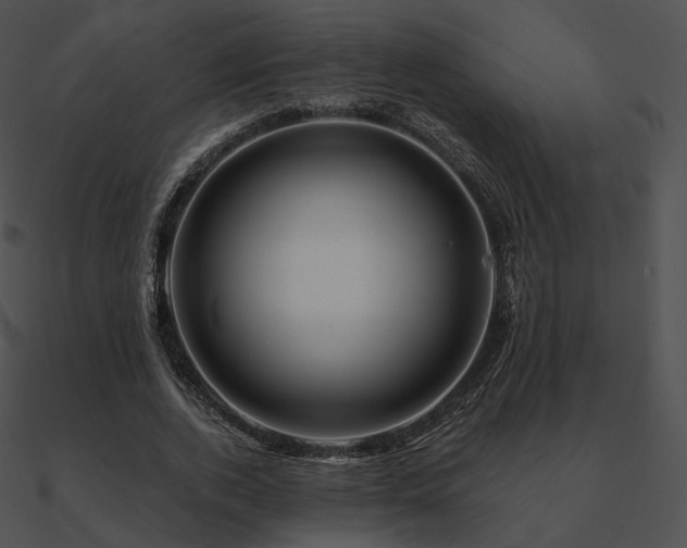 X0000090970728200708021437