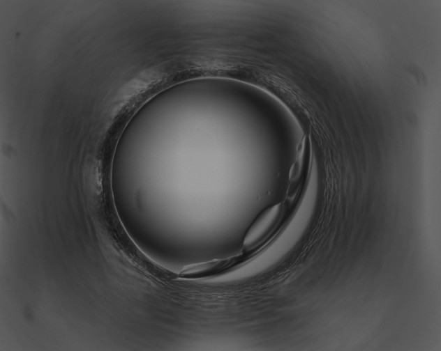 X0000090970731200708021437