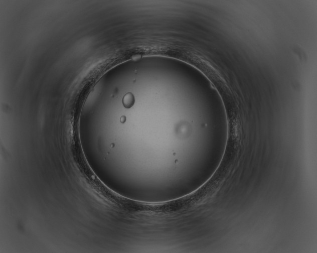 X0000090970733200708021437