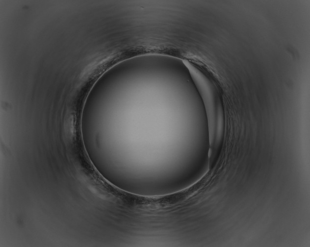 X0000090970740200708021437