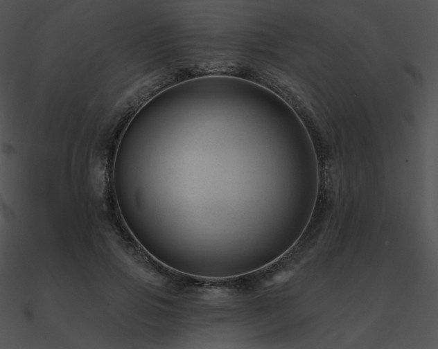 X0000090970741200708021437