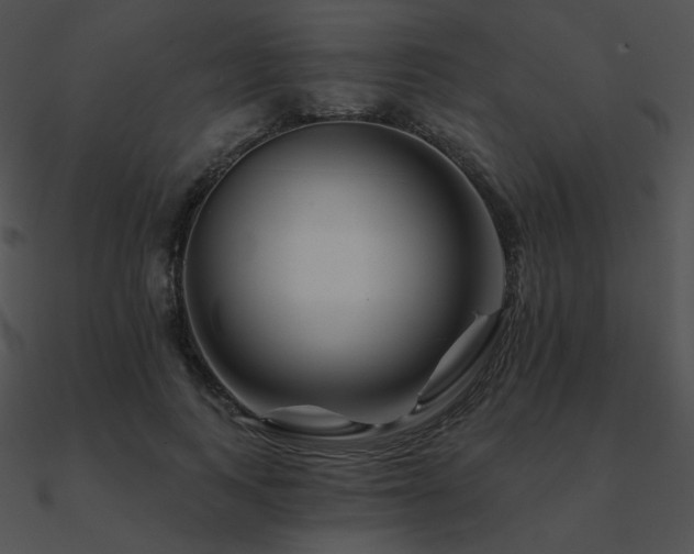 X0000090970743200708021437