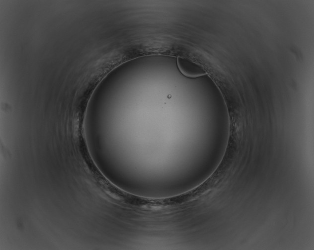 X0000090970745200708021437