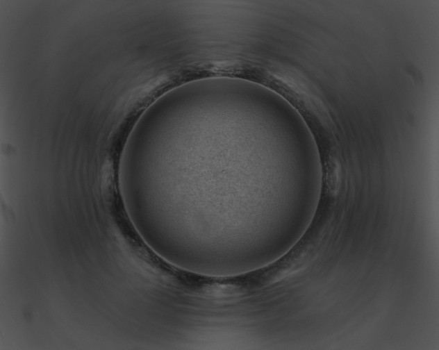 X0000090970748200708021437