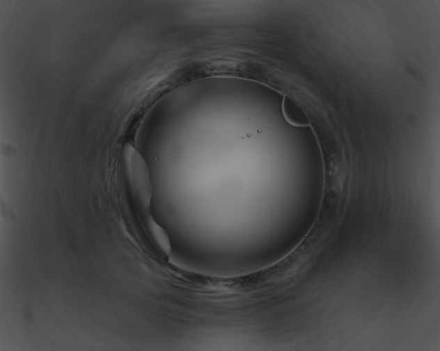 X0000090970753200708021437