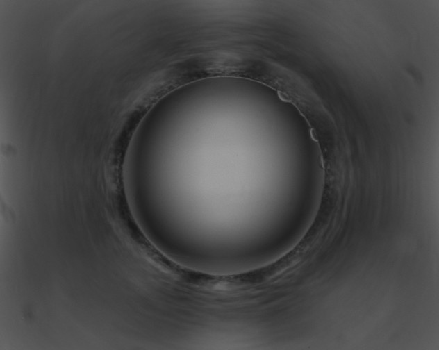 X0000090970755200708021437