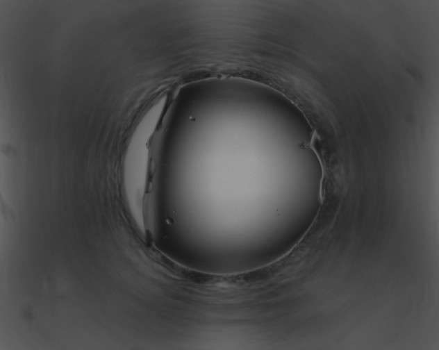 X0000090970756200708021437