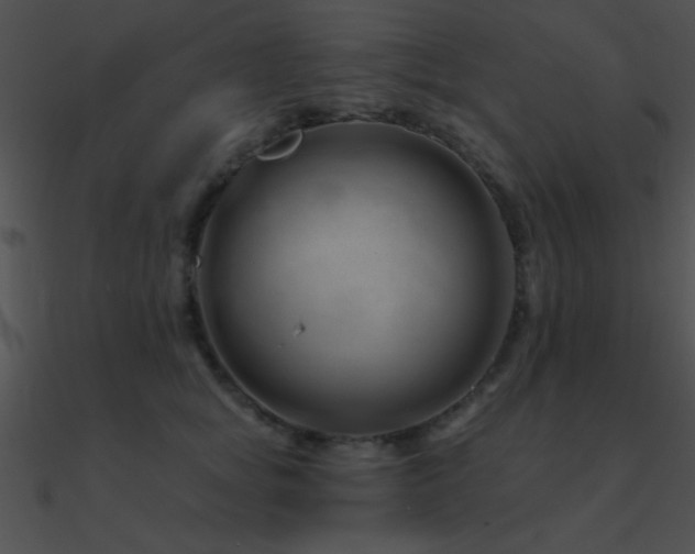 X0000090970757200708021437